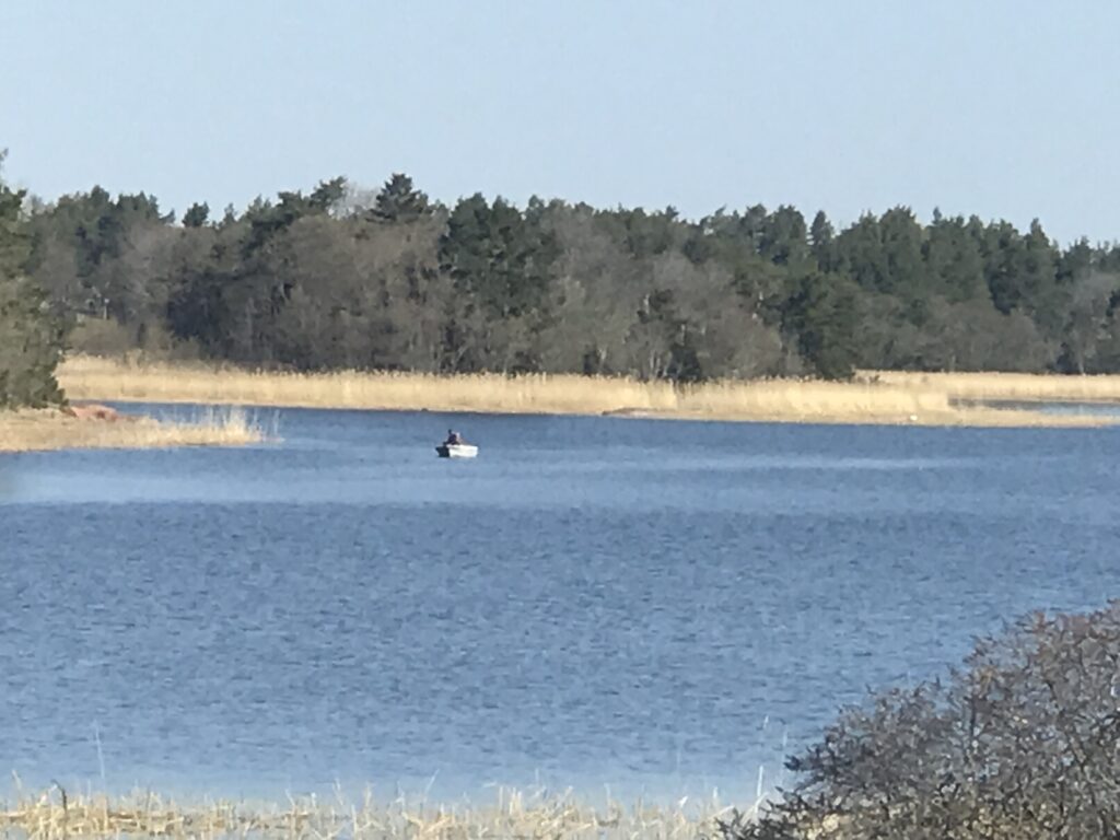 Bastö havsvik med en fiskare som är ute med sin båt